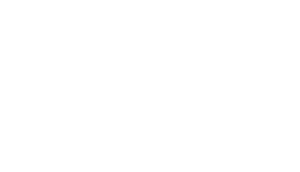 DAVID MASH